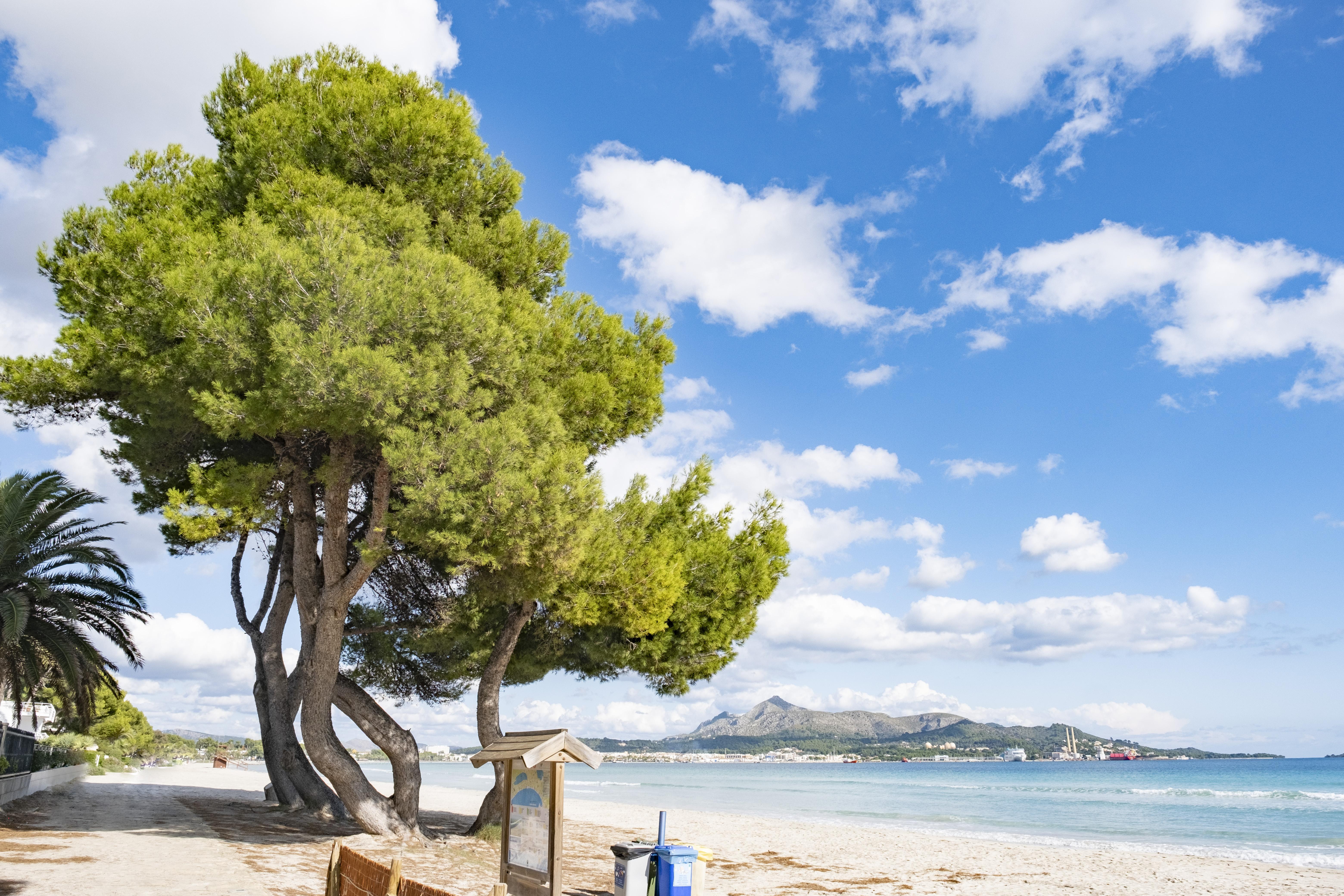 Eix Platja Daurada Hotel & Spa カン・ピカフォルト エクステリア 写真